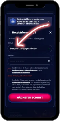 Anmeldung auf der ViperWin-Website per E-Mail