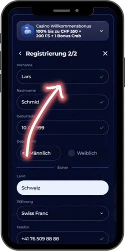 Persönliche Kontoinformationen auf der ViperWin-Website